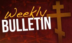 Weekly Bulletin